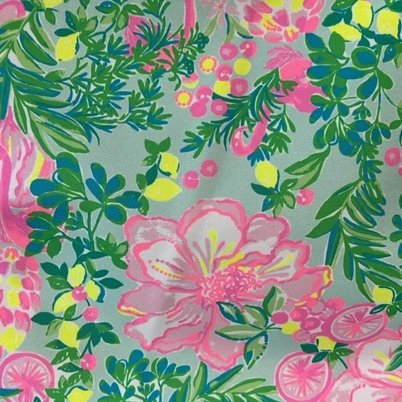 Lily Pulitzer Wine Carrier | NWT - Picture 4 of 10